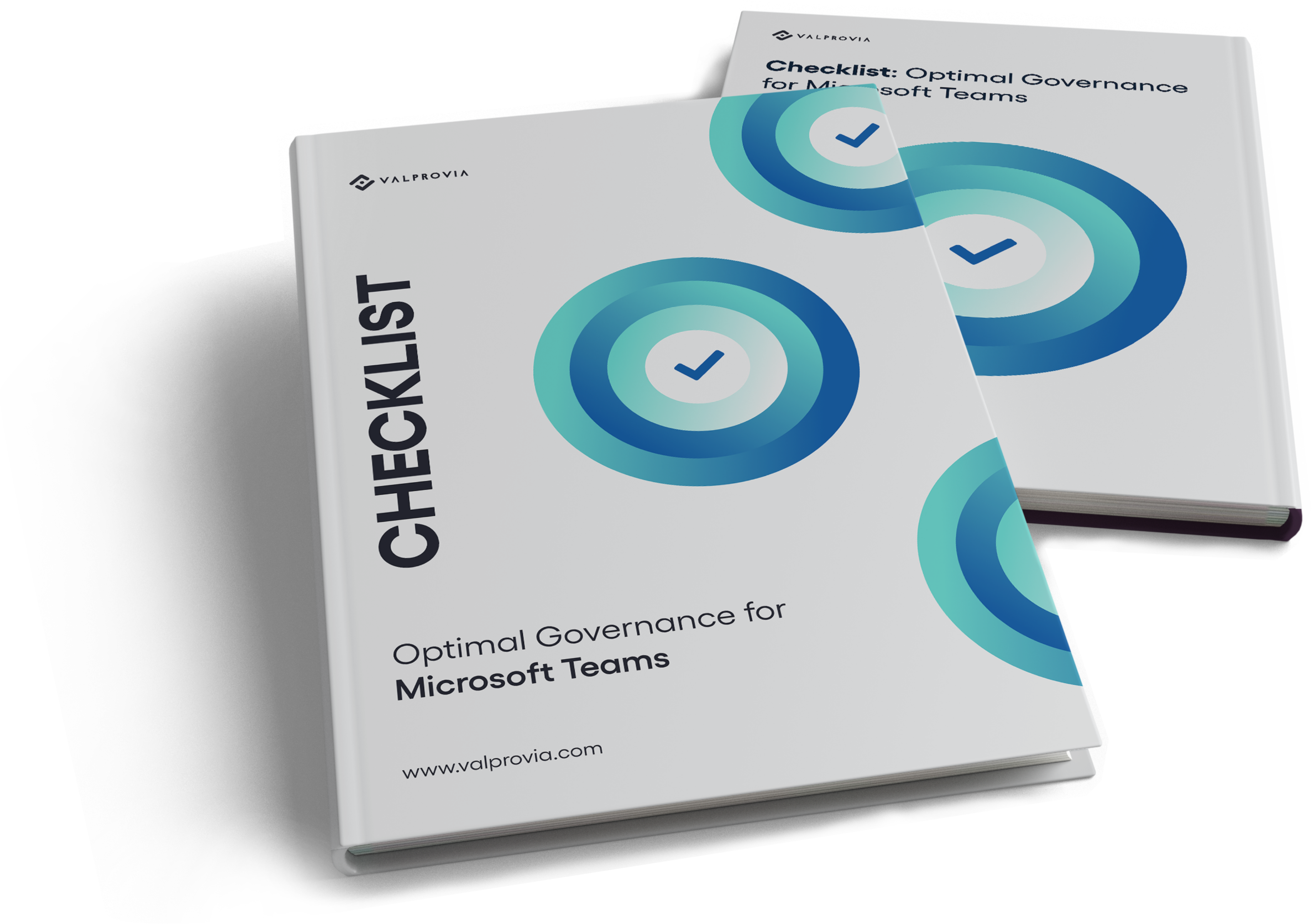 valprovia-governance-checklist-de